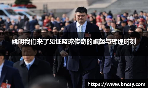 完美体育