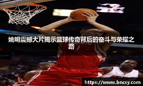完美体育官网