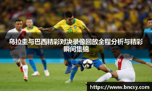 完美体育在线入口官网