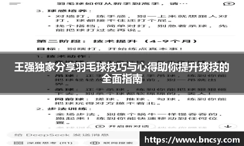 王强独家分享羽毛球技巧与心得助你提升球技的全面指南