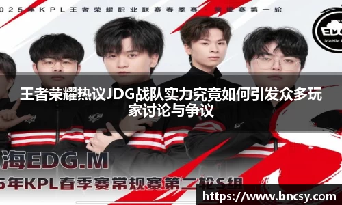 王者荣耀热议JDG战队实力究竟如何引发众多玩家讨论与争议